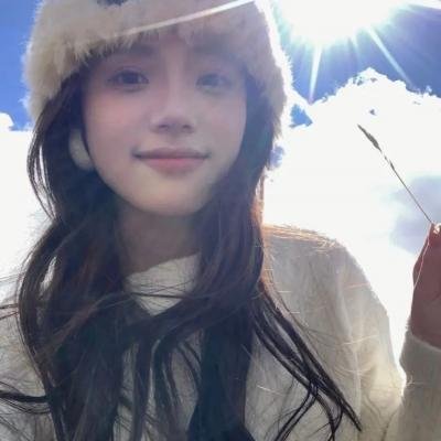 莫西干回到故乡